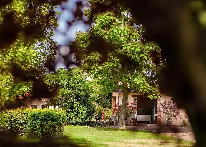 Les Barelles Bed and Breakfast Saint-Jean-de-Thurigneux